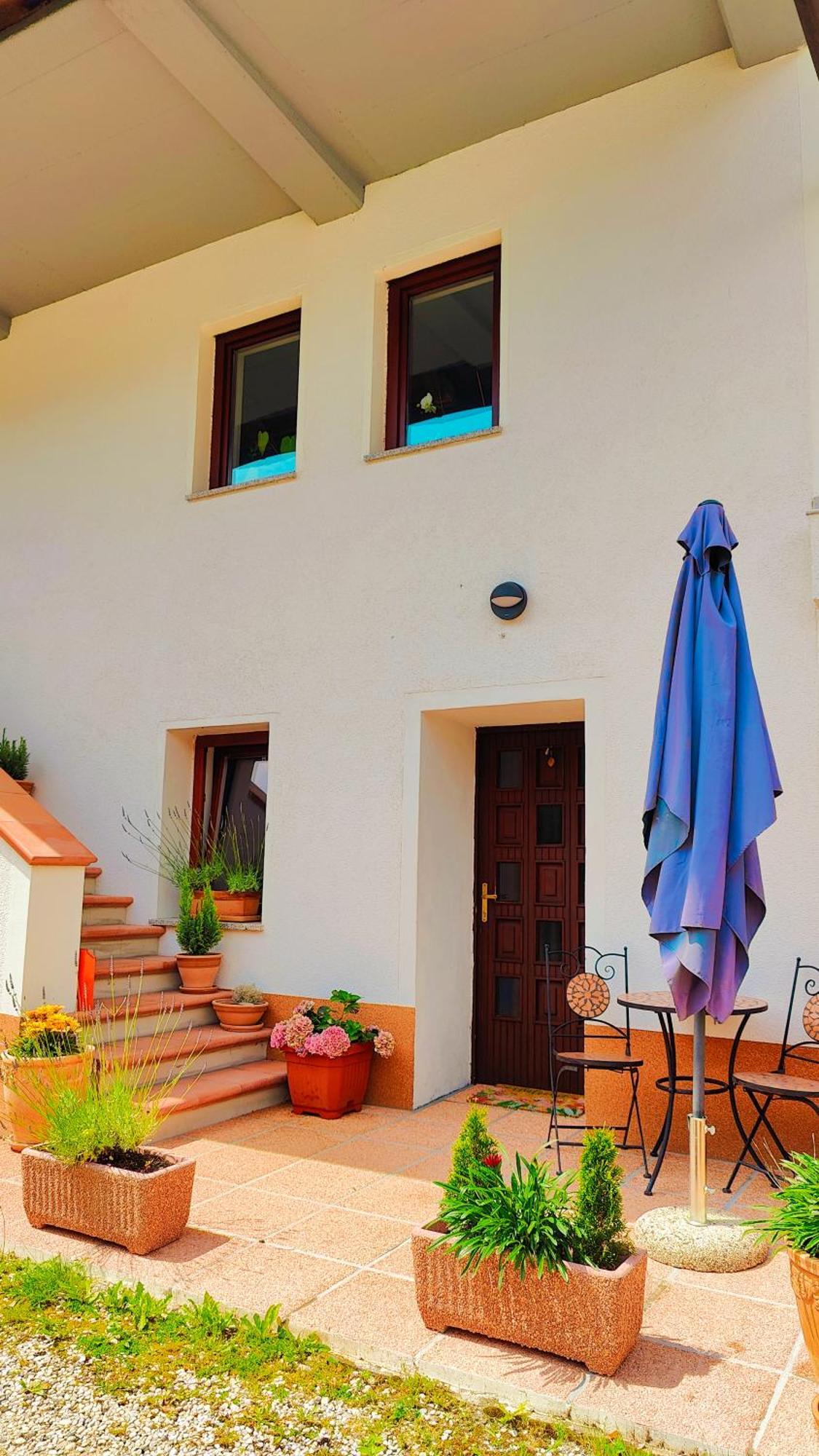 Soca Home Bovec Dış mekan fotoğraf